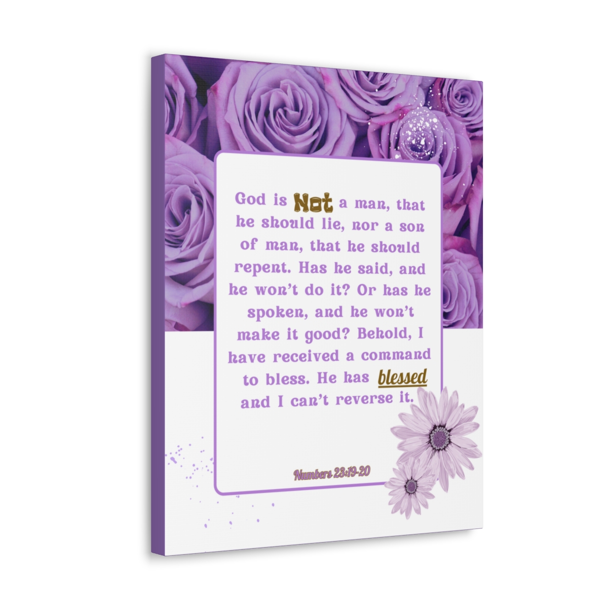 Speak Truth, Numbers 23:19-20 Canvas - Image 2